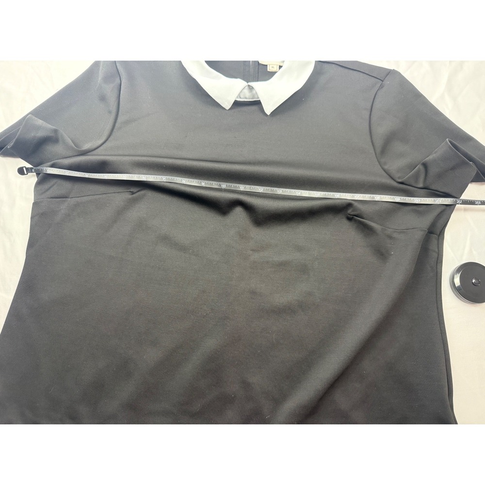 ECI New York Womens XL Black White Layered Peter Pan Collar Short Sleeve Top - Picture 5 of 10